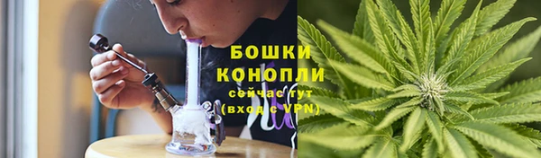 дживик Волосово