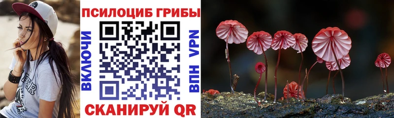 Псилоцибиновые грибы MAGIC MUSHROOMS blacksprut как зайти Керчь